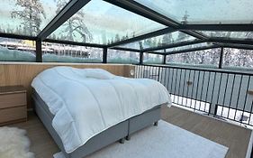 Levi Aurora Sky